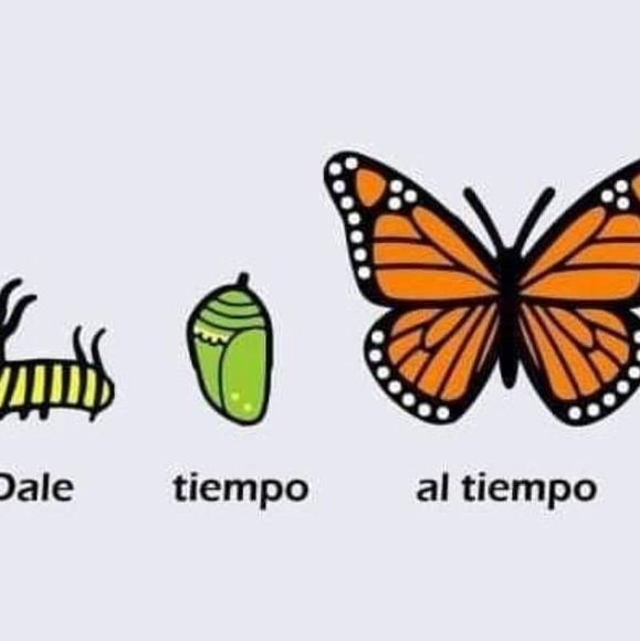 Meet your Posher, Paula - Picture 1 of 1